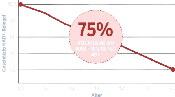 NAD+ decline graph