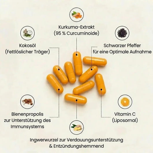Kurkuma-Kapseln mit 95 % Curcumin